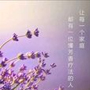 油缘香汇Grace